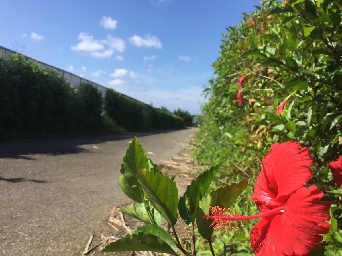 Matayoshi Coffee Farm Villa Higashi Ngoại thất bức ảnh