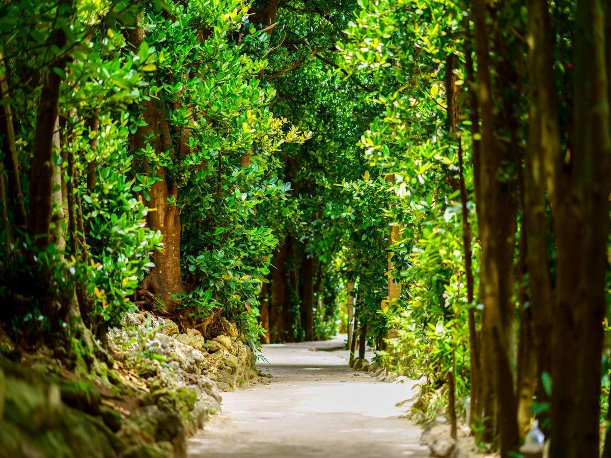 Matayoshi Coffee Farm Villa Higashi Ngoại thất bức ảnh